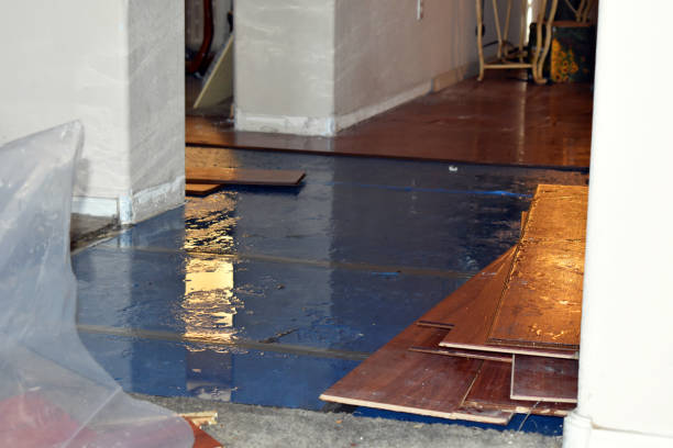 Professional Emergency Water Damage Restoration technician working in Ferndale, PA